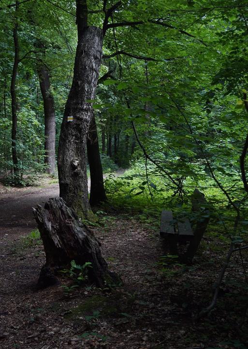 Gaststätte "Am Frischborn"