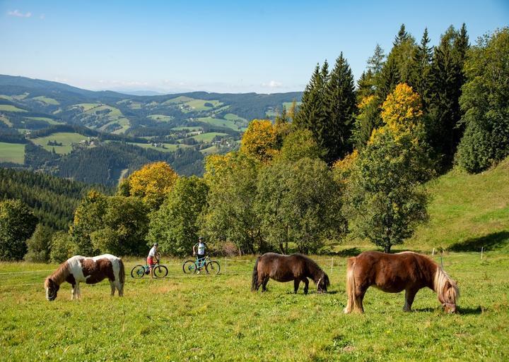 Gasthof & Pension Erbgericht